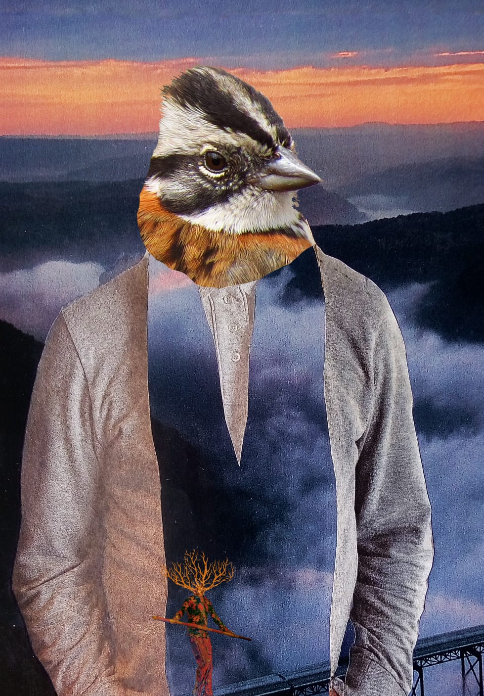 ilustración collage hombre con cabeza de pájaro