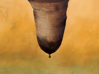 Ilustraciones de José Rosero