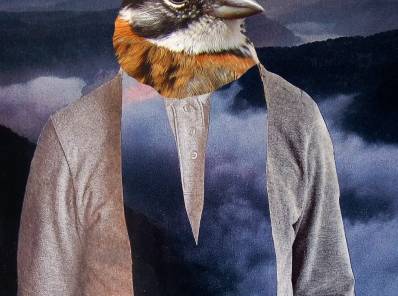 ilustración collage hombre con cabeza de pájaro